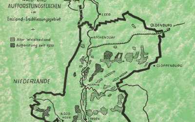 Neue Wälder