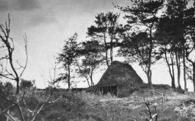 Moordämmerung