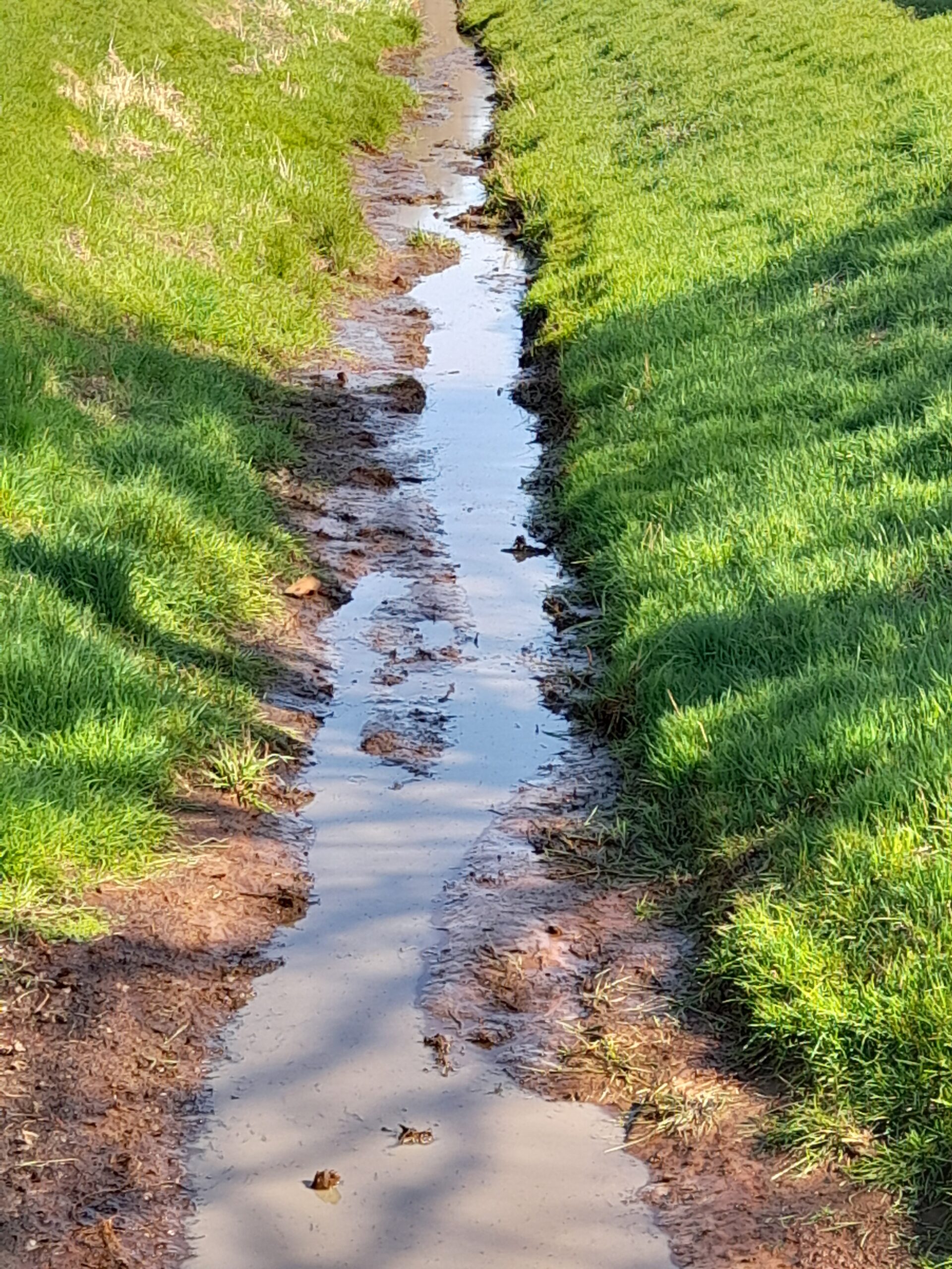 Bach mit wenig Wasser