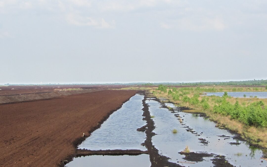 Veranstaltungen zum Projekt „Nachhaltiges Wassermengenmanagement“