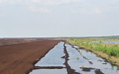 Veranstaltungen zum Projekt „Nachhaltiges Wassermengenmanagement“