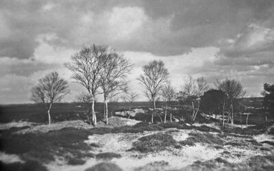 Änderung der Landschaft