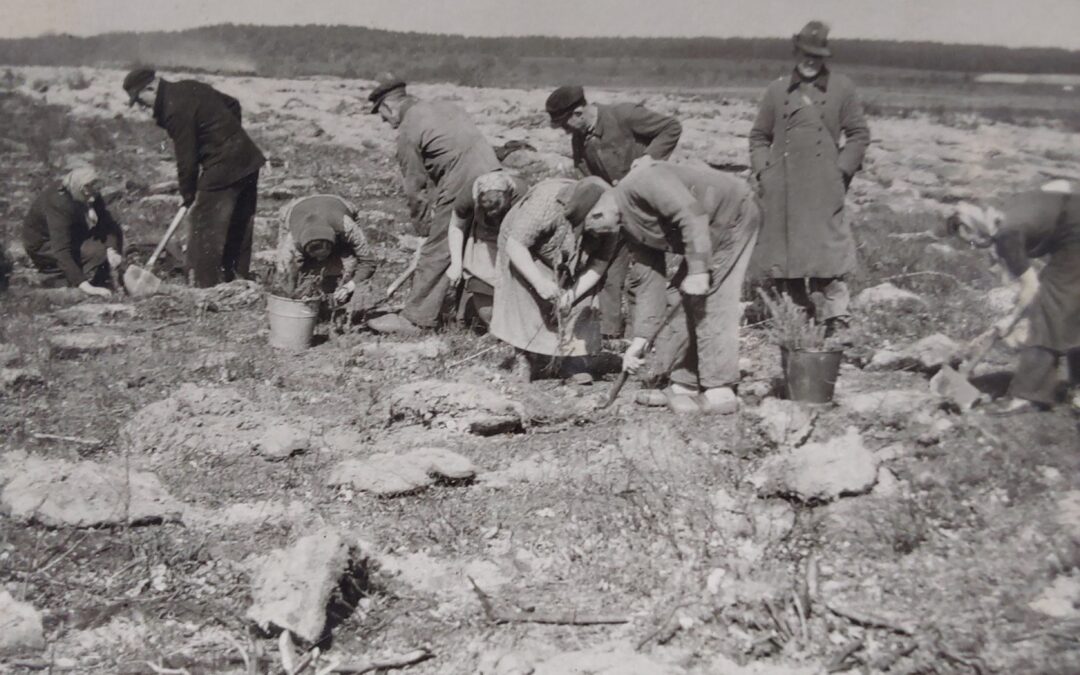 Vortrag: „Spahnharrenstätte und der Emslandplan“