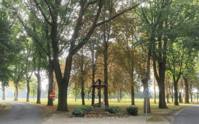 Kirchen im Moor