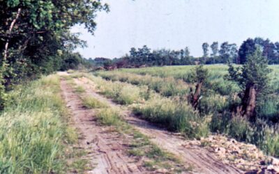 Ausstellung „Wirtschaft und Wege“